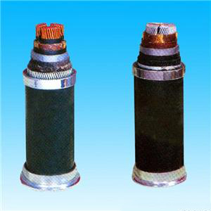 ú��̶������ö��ѹ0.61KV��������ȼ�;�����ϩ��Ե��������